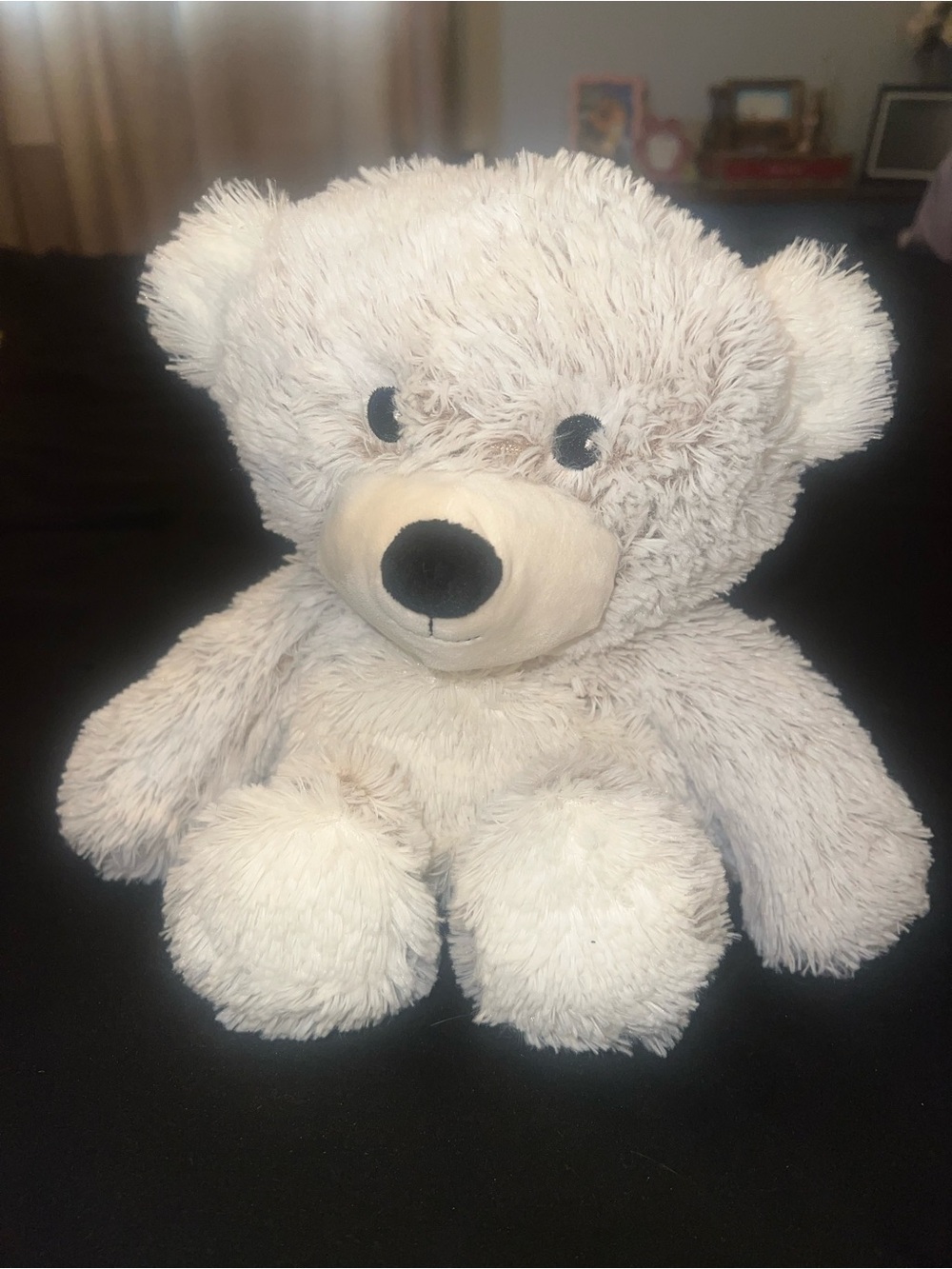 Teddy Bear Warmie